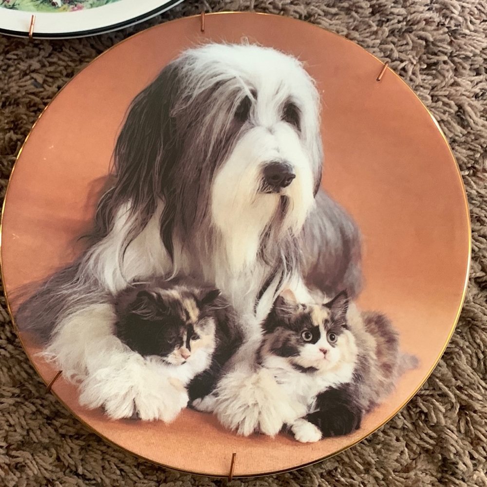 Decorative plates